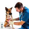 Silveraid Hot Spot Gel for Pets and Farm Animals-3