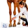 FriPuP Latex Pet Bandage 2 Inch Pawprint-4