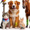 FriPuP Latex Pet Bandage 2 Inch Pawprint-5