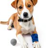 FriPuP Latex Pet Bandage 2 Inch Pawprint-2