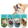 Disposable Dog Boots Furry Fun Market Medium Blue Waterproof Non Slip-5